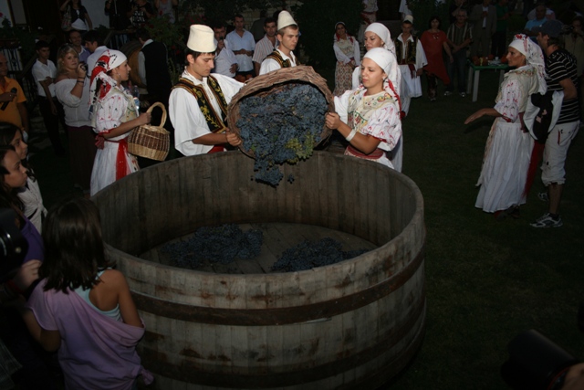 Harvest Feast - Cobo (VIDEO)