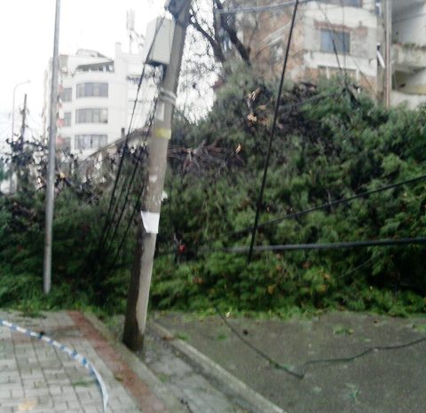 Pema e rrezuar ne Tirane dhe telat e korrentit qe rrezikojne kalimtaret