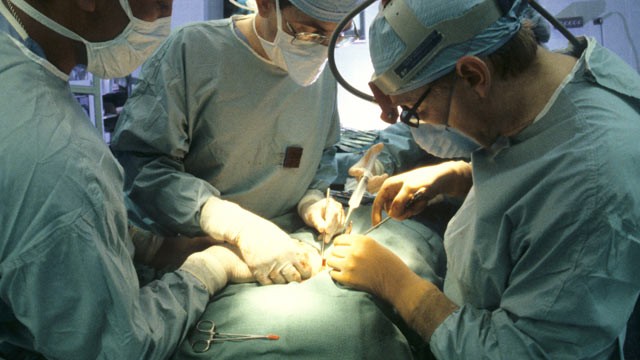 Dita Boterore e Veshkes, doktoret kerkojne zgjerimin e kategorise se dhuruesve. Ne maj transplantet ne QSUT