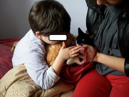 Per te biresuar nje femije ne Shqiperi ka nje tarife te re