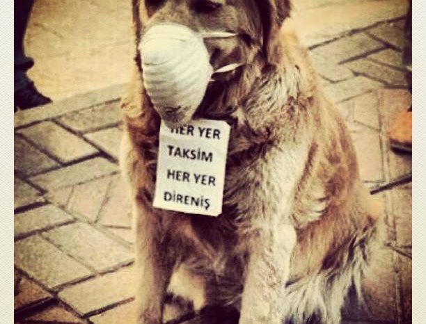 Erdogani vazhdon me te veten, nxjerr anti-mitingashet!