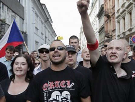 Ceki, marshime per debimin e romeve nga vendi