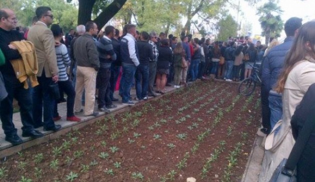 Kur protestuesit kujdesen mos shkelin lulet (pse duhet te jete akoma lajm kjo?)