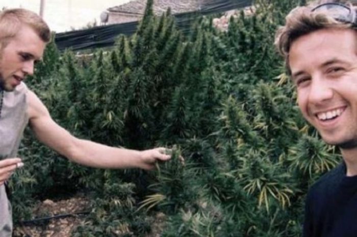 Edhe Nju Jorku drejt lirise per marijuanen