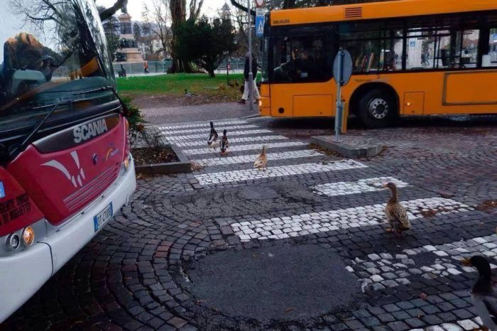 Kontrasti qe ben cilesia e jetes...