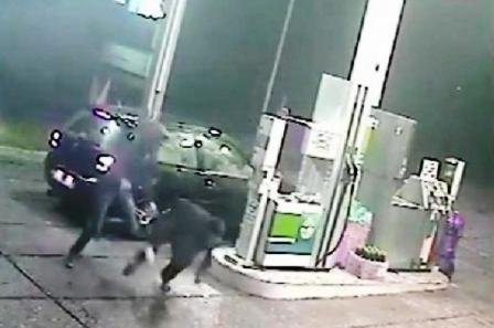 VIDEO/“Gjahtaret e nates”, 6 ne pranga per vjedhje me dhune te karburanteve