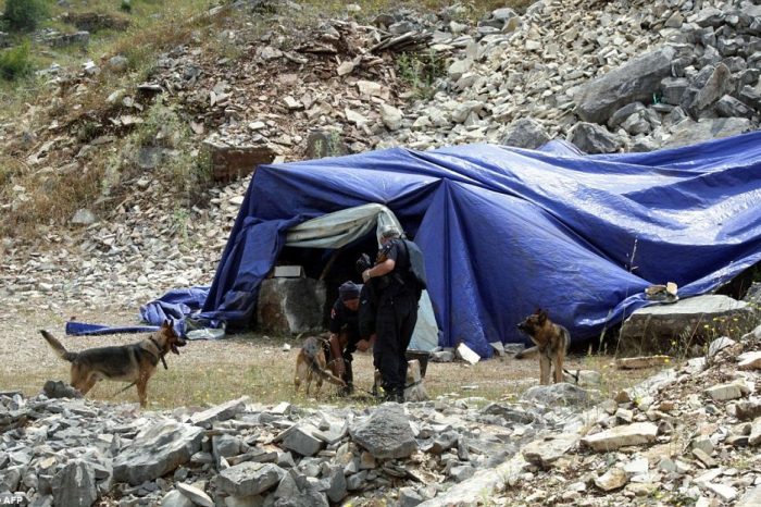 30 milione euro hashash digjen ne Lazarat