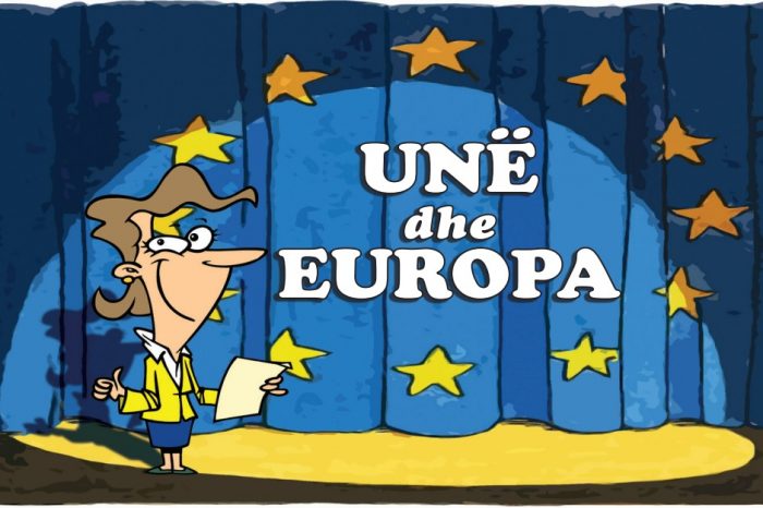 GUIDE MBI INSTITUCIONET E BASHKIMIT EUROPIAN