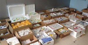 Tregu farmaceutik/Beqja: do te rrisin cilesine dhe sigurine, do te ulen cmimet. Reagon shoqata farmaceutike
