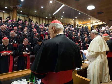 Papa Françesku: Kisha duhet te përkrahë familjet me fëmijë gay