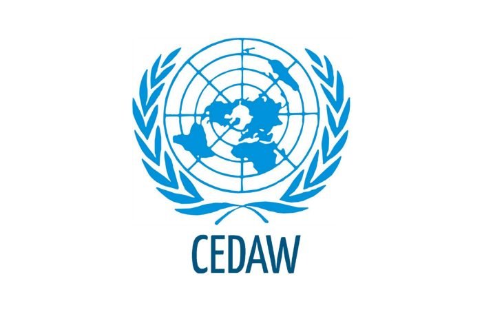 Komiteti i Kombeve të Bashkuara për Eleminimin e të Gjitha Formave të Diskriminimit ndaj Grave (CEDAW) pranon kërkesat e grave LBTI në Shqipëri!