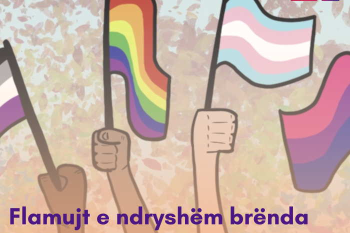 Flamujt e ndryshëm brënda komunitetit LGBTQ+.