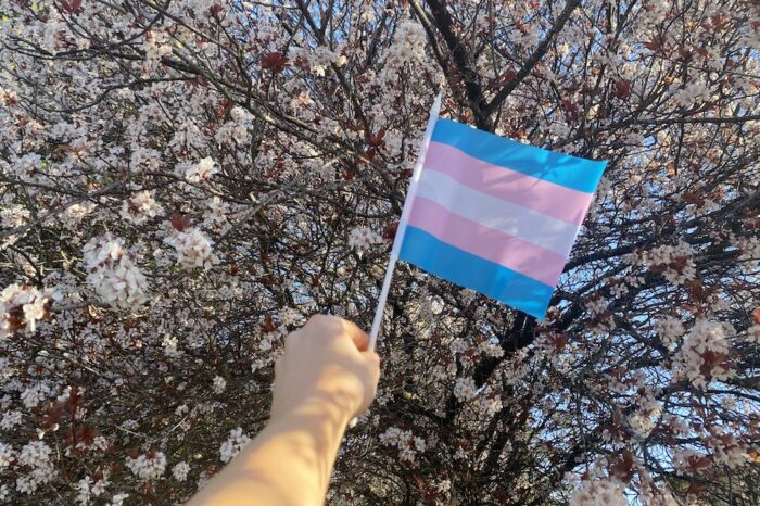Pse ka një ditë për dukshmërinë transgjinore?